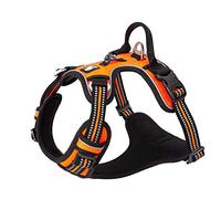 True Love Arnés para Perro sin suéter de Nailon Flexible Reflectante Ajustable para Animal doméstico pequeño Grande TLH56512(S, Naranja)