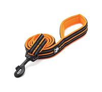 True Love Dog Leash Reflective Nylon Comfortable Handle Lead Puppy Training Walking Rope Easy Control Applicable to All Breeds Length 110 TLL2111(Gras