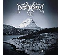 True North