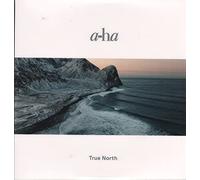 a-ha - True North - Vinilo 12" coloreado (Importación USA)