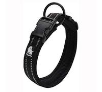 Truelove collar de adiestramiento para perro tlc5011 reflectante Premium DuraFlex hebilla en Nylon mascota perro collares en negro, alto grado de nailon no Choke collares básico ahora disponibles