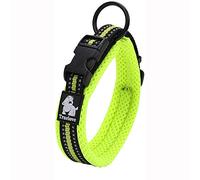 Truelove Collar de adiestramiento para Perros TLC5011 Collar Reflectante para Perros (L, Amarillo neón)