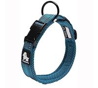 Truelove Collar de adiestramiento para Perros TLC5011 Collar Reflectante para Perros (L, Azul)