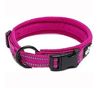 Truelove Collar de adiestramiento para Perros TLC5011 Collar Reflectante para Perros (M, Fucsia)