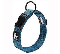 Truelove Collar de adiestramiento para Perros TLC5011 Collar Reflectante para Perros (XS, Azul)