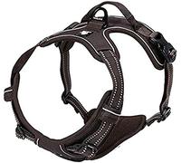 TrueLove TLH5651 - Arnés para perro, las costuras reflectantes 3M aseguran la visibilidad de noche, aventuras al aire libre, arnés chaleco para perros grandes, cachorros