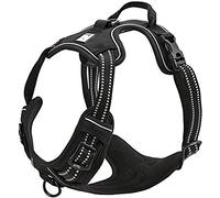 TrueLove TLH5651 - Arnés para perro, las costuras reflectantes 3M aseguran la visibilidad de noche, aventuras al aire libre, arnés chaleco para perros grandes, cachorros