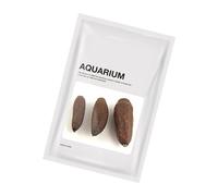 Trufolxiaz Acuarios para esconder artesanías, decoraciones naturales de plantas, peceras, suministros de arte marino