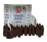 TRUMIRI Conos De Incienso De Reflujo De Salvia Blanca Para Cascada Y Estera Paquete Inciensos Aromaticos|Incienso|Inciense|Insienso