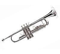 Trumpet - Maletín con funda de latón y boquilla