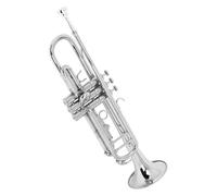 Trumpet Trompeta menor Rb para principiantes | Tono rico, apariencia elegante, excelente resonancia.(Nickel plated)