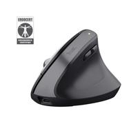 Trust Bayo+ ratón Oficina mano derecha RF Wireless + Bluetooth Óptico 2400 DPI