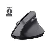 Trust Bayo II ratón Médico mano derecha RF inalámbrico Óptico 2400 DPI