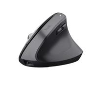 Trust Bayo+ ratón Oficina mano derecha RF Wireless + Bluetooth Óptico 2400 DPI