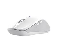 Trust Ferro Blanco - Ratón inalámbrico