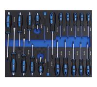 TRUTZHOLM Juego Destornilladores 21 Piezas Inserto Carro Taller Espuma 520x400mm