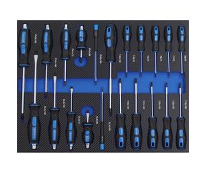 TRUTZHOLM Juego Destornilladores 21 Piezas Inserto Carro Taller Espuma 520x400mm