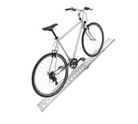 TRUTZHOLM Rampa de Coche plegable para bicicleta, Aluminio, 240 cm, 50 kg, gris