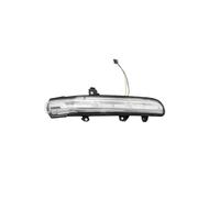 TRVQOT Para Ford Para Territory Para EV 2019 2020 2021 Vista Trasera De Coche Indicador De Luz De Giro lateral Indicador intermitente de retrovisor(1pc Left L)