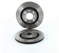 TRW Discos de freno para CITROËN: Berlingo, ZX, Xantia, Xsara, BX, Xsara Picasso & PEUGEOT: Partner, Ranch, 305, 306, 405, 206 (Ref: DF1220)