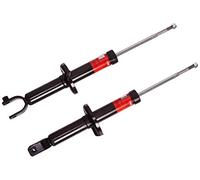 Trw JGS224T Amortiguadores para Automóviles