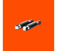 TRW Amortiguadores traseros JHT432T para Mercedes-Benz Vito W639 2x
