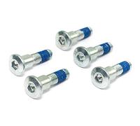 TRW - Kit de tornillos para disco de freno MSS118-5 - 1 Piezza