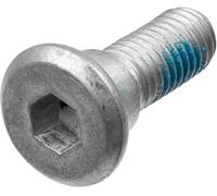 Juego de tornillos para disco de freno TRW MSS123-5, 1 Pieza