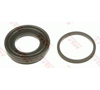 TRW Reparatursatz, Bremssattel SJ1250