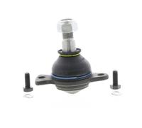 TRW Rótula de suspensión/carga para RENAULT: Trafic & OPEL: Arena & VAUXHALL: Arena (Ref: JBJ191)