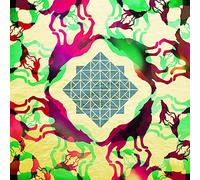 Trwbador - Several Wolves [VINYL] [Vinilo]