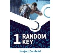 Try to get Project Zomboid - Random 1 Key (PC) - Steam Key - GLOBAL