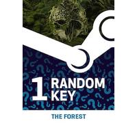 Try to get The Forest - Random 1 Key (PC) - Steam Key - GLOBAL