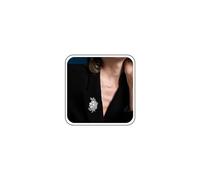 TseenYi Perla Flor Broche Pin Rhinestone Perla Pin Barroco Moda Cristal Pin Joyas para mujeres y niñas Cardigan Clip Solapa Clip Camisa Clip Boda Día de San Valentín Navidad (Plata)