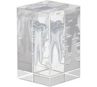 Tsffae 1 Juego De Modelo De Diente Humano De 3D, Modelo De Diente Anatómico Grabado con Láser Cúbico para Decoración del Hogar Y Oficina, Regalos para Dentistas