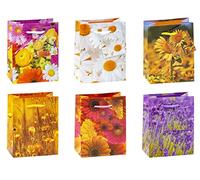 TSI 84023 - Bolsas de regalo (tamaño pequeño, 6 modelos surtidos), diseño floral