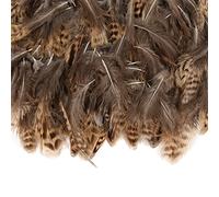 TSLBW 200 Piezas Plumas de Faisán Naturales DIY Plumas Naturales Manualidades Decoración de Plumas de Faisán 5-10cm Marrón Plumas de Pollo Naturales para Atrapasueños Boda Fiesta Decor Accesorios (A)