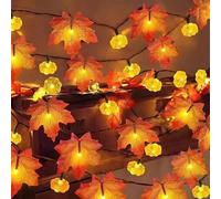 TSLBW Calabaza Hoja de Arce Luces de Cuerda Acción de Gracias Halloween Decoración Luces de Cuerda 3 Meter 20 LED Luz Otoño Guirnalda Decoración Interior Exterior Decoración de Otoño (A)