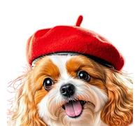 TSMORY Gorro de lana para mascotas, para paseos por la ciudad, salidas al parque y reuniones familiares, gorro de lana para uso diario, accesorio de fotos, sombrero de lana para perros y gatos