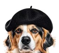 TSMORY Gorro de lana para mascotas, para paseos por la ciudad, salidas al parque y reuniones familiares, gorro de lana para uso diario, accesorio de fotos, sombrero de lana para perros y gatos