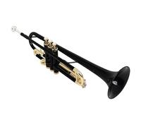 TSMORY Trompeta estándar con estuche de almacenamiento, trompeta de latón para estudiantes, instrumentos profesionales para principiantes o avanzados