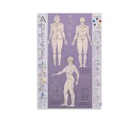 TSNKNP Acupressure Chart - Póster de puntos y meridianos Pintura decorativa en lienzo, arte de pared, póster de sala de estar, dormitorio, pintura, arte de pared, impresión de imagen, decoración