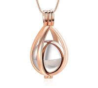 Tsophreniq Colgante conmemorativo de joyería de cremación para mascotas con hueco para guardar cenizas, collar de cenizas de compañía