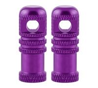Tsophreniq Tapones con válvula de llanta de aleación de aluminio para | Neumático sin cámara con aleaciones de aluminio, cubiertas de vástago con válvula a prueba de polvo para bicicletas de