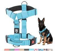 TSPRO Arnés Táctico para Perros No Pull, Alta Resistencia, Ajustable, con Asa y Hebilla de Liberación Rápida, Ideal para Perros Medianos y Grandes en Paseos y Corridas al Aire Libre (Azul S)