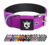 TSPRO Collar Táctico para Perros Ajustable, Collares con Broche de Metal Robusto, de 3,8 cm de Ancho, Duradero y Cómodo para Perros Medianos y Grandes (Morado M)