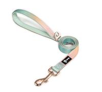 TSPRO Correa Perro Ligero, Color Degradado Correa de Perro con Asa Acolchada y Cierre de Metal para Perros Pequeños a Medianos para Pasear (Amarillo Verde)