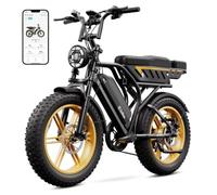 TST Bicicleta Electrica Adultos E Bike con Doble Batería 48 V 15 AH + 25 AH