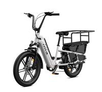 TST Bicicleta Eléctrica para Adultos con Asiento Trasero y Control por App, Bicicleta Cargo 20" Llantas Fat Batería 48V 15Ah 250W Autonomía 60KM Carga 204kg, Portaequipajes, Suspensión, Cuadro Bajo