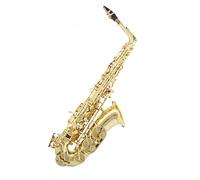 TSTS Kit de saxofón Prueba De Iniciación Al Saxofón Alto Instrumental En Mi Bemol